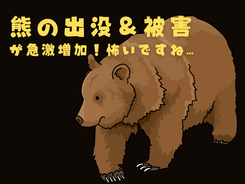 熊の出没＆被害が急激増加！…怖いですね。